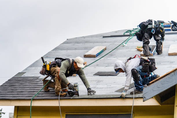 Professional Gutter Installation technician working in Hansford, WV